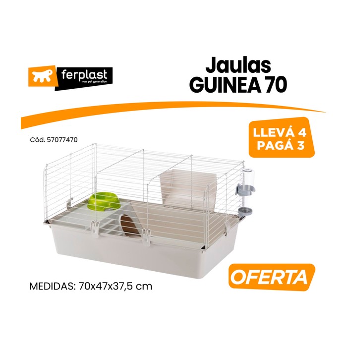 Cavie 70 (promo 3+1)