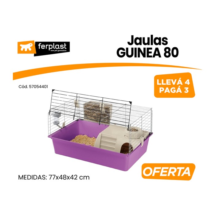 Cavie 80 (promo 3+1)