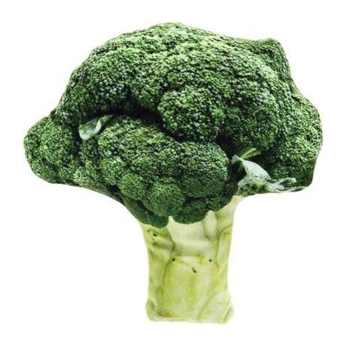 Matatabi Broccolo 12X11,5CM