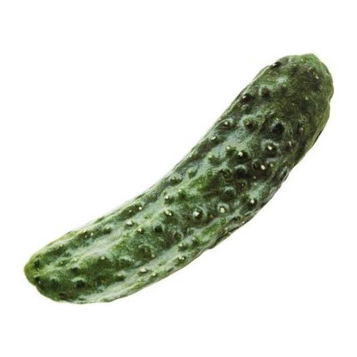 Matatabi Cetriolo 14X7,5CM