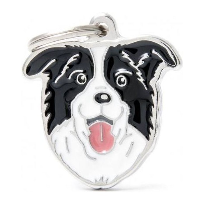 Chapa Border Collie