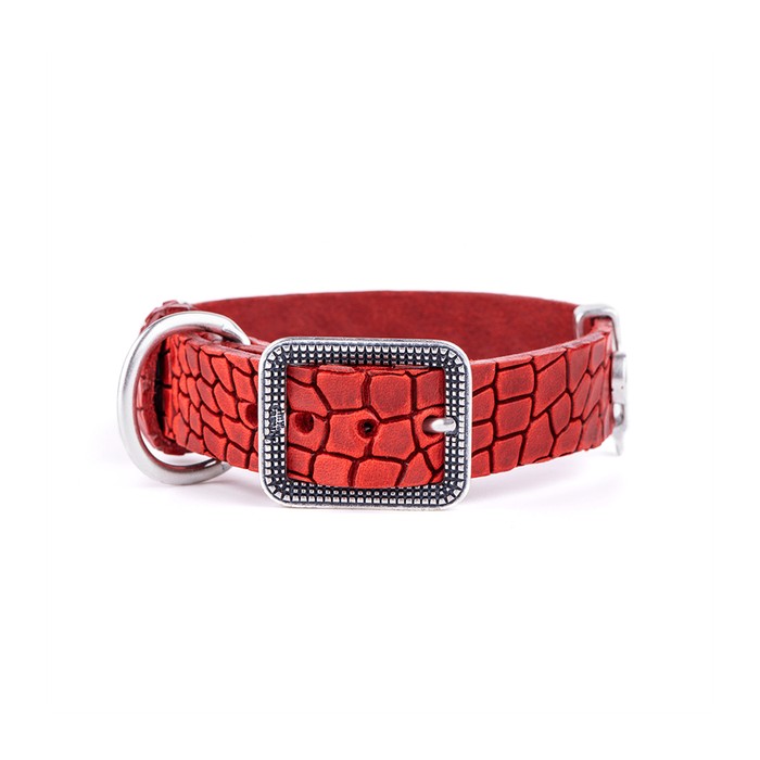 Collar 35/41-2,8 CM Cuero Tucson Rojo