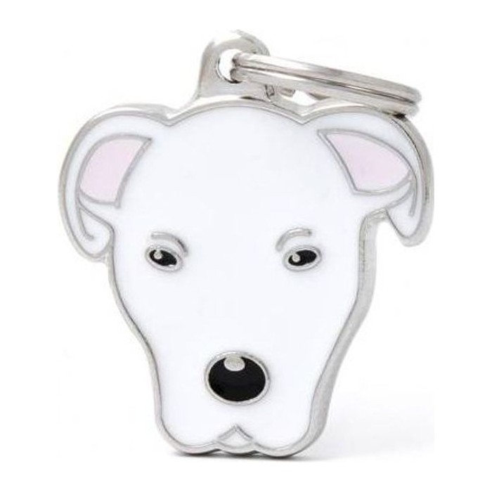 Chapa Dogo Argentino