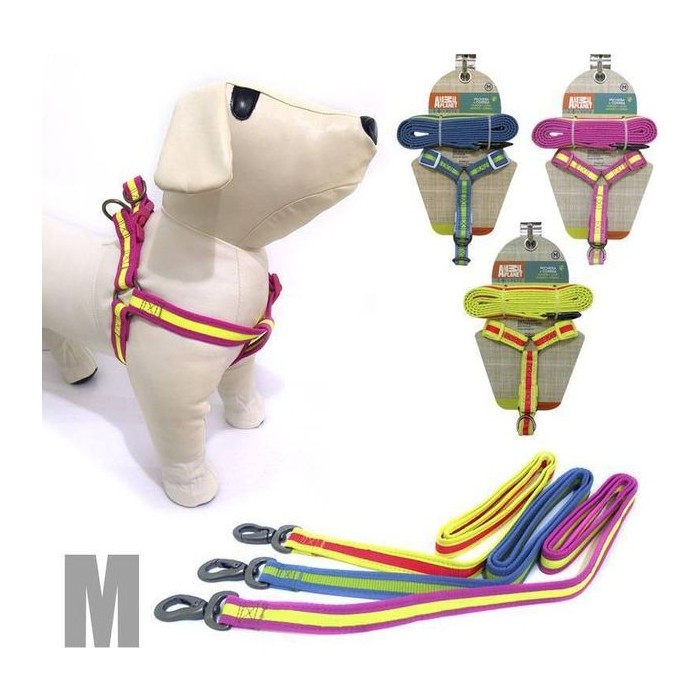 Arnes + Correa para mascotas (M) 1.5X10-14" 5/8" X 4FT Material Poliester