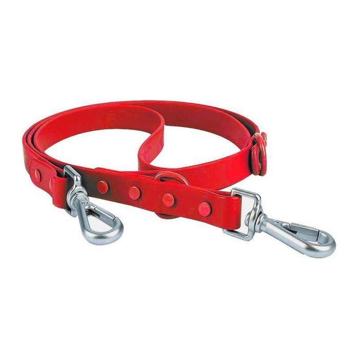 Correa Para Perros M (0.35*1.3*152)