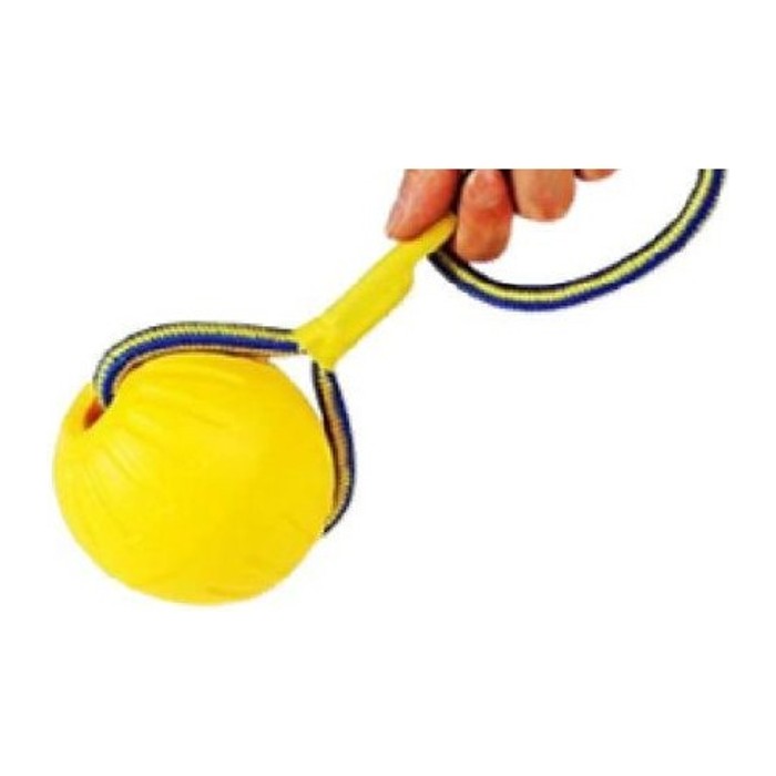 Pelota de goma grande con soga