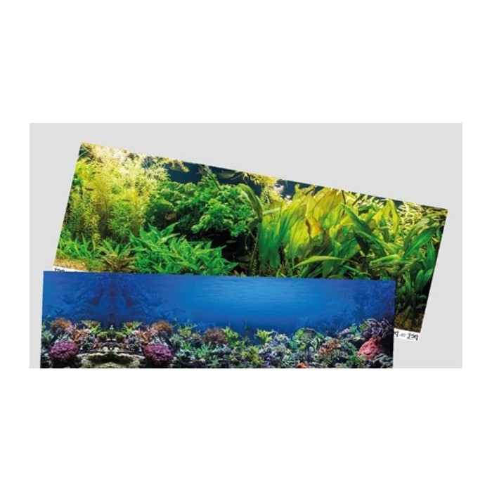 Desde Empapadores/láminas fondo acuario (36x25 a 100x40, pack x10)